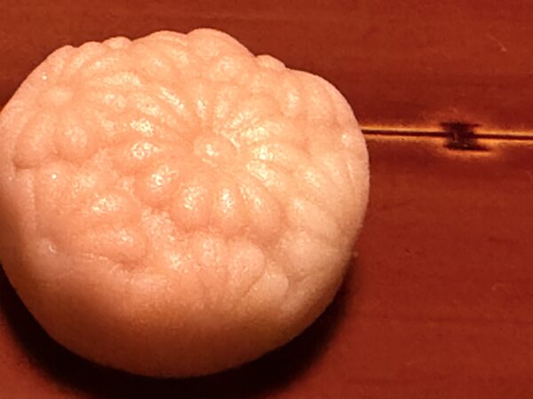 Japan photograph 049