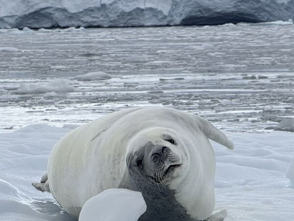 Selected photograph — 021